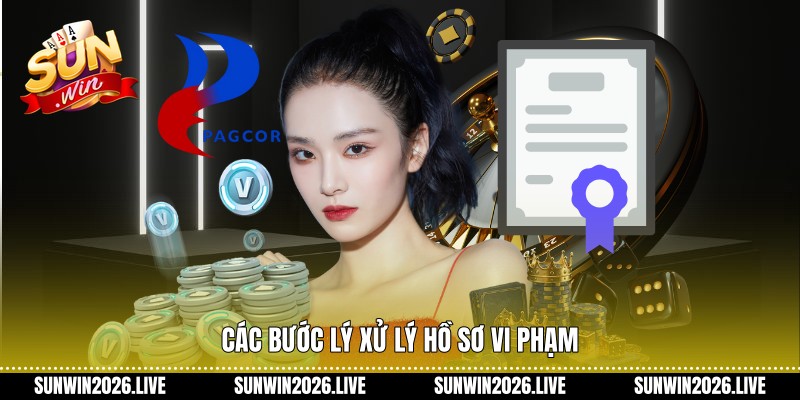 Các bước lý xử lý hồ sơ vi phạm