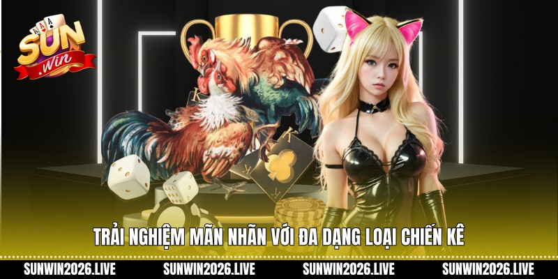 Trải nghiệm mãn nhãn với đa dạng loại chiến kê